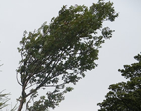 Wind is vital for the success of your wind turbine